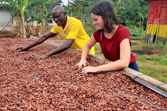 1 Day cocoa farm tour - Cocoa Tasting: When the Lesson Lands in Your Mouth