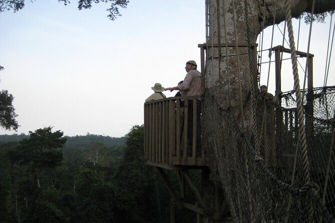 15-Day Ghana Wildlife Private Tour - Two full Kakum days for pangolins, primates, and nocturnal birds