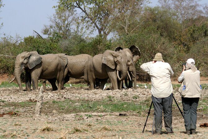15-Day Ghana Wildlife Private Tour - Ashanti Region and New Edubiase: pangolin protection with community support