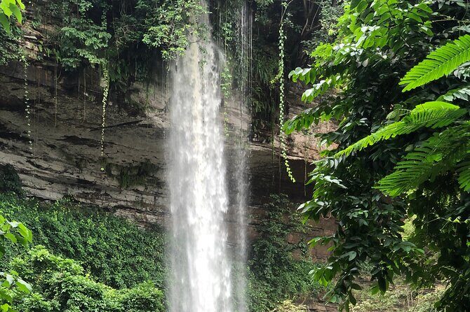 2Days private explore volta region - Wli Waterfalls (Agumatsa): rainforest quiet and a top-tier West Africa stop
