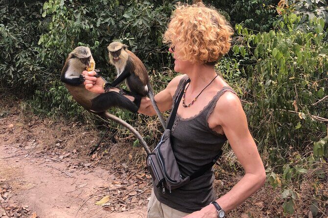2Days private explore volta region - Price and value: what $550 covers (and why it’s not as simple as it sounds)