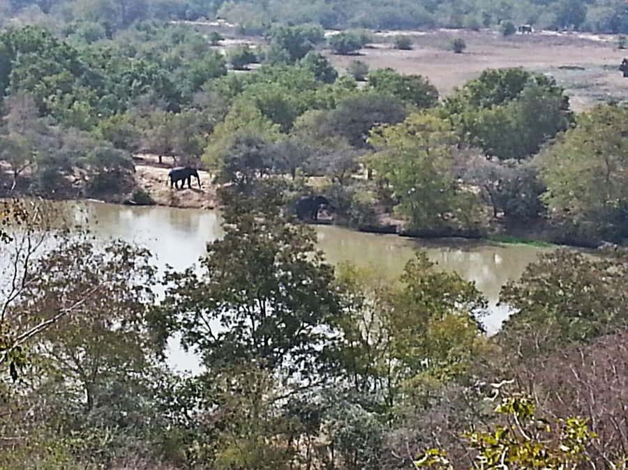 3 Days Elephant Safari at Mole Park with round trip flights - Shea butter workshop: watching the process is the real win