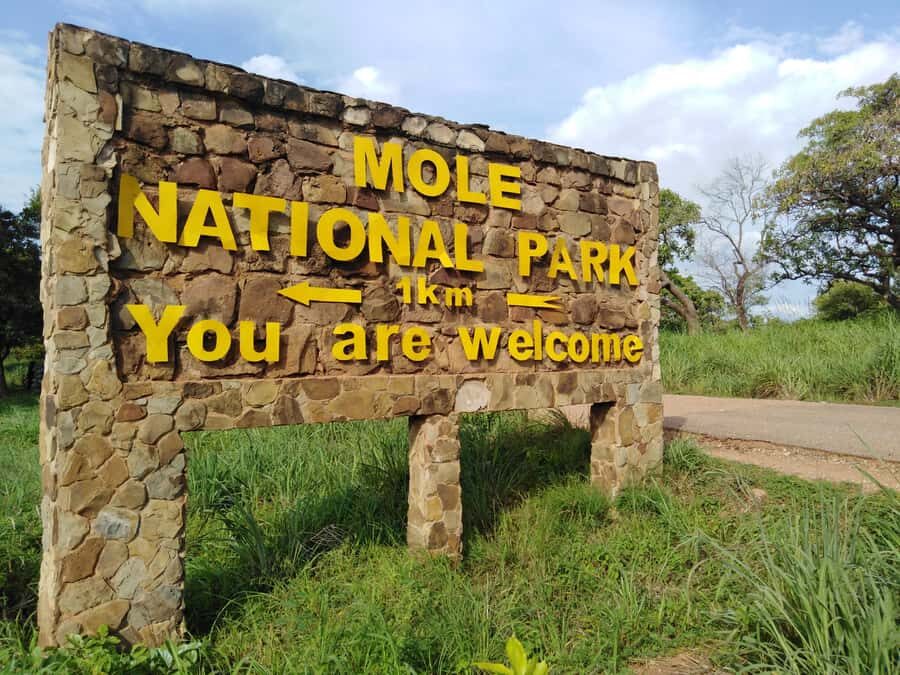 3 Days Elephant Safari at Mole Park with round trip flights - Who this tour suits best (and who should think twice)