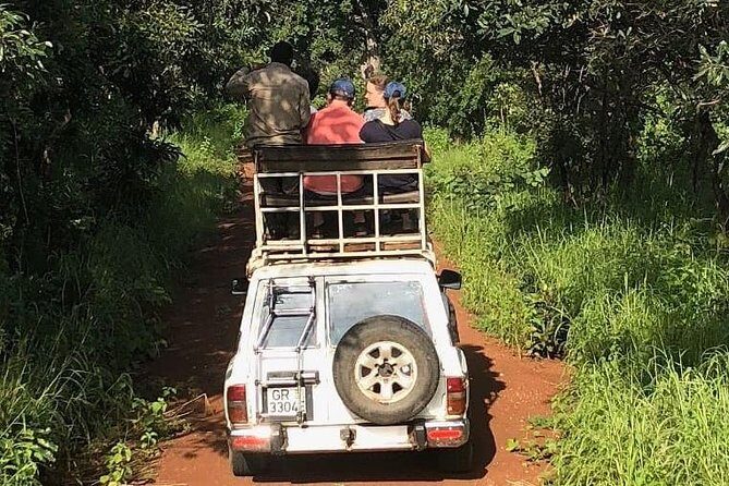 3 Days Sunrise Elephant Safari-Mole Park with -Round Trip Flight - Should You Book This Mole Elephant Safari from Tamale?