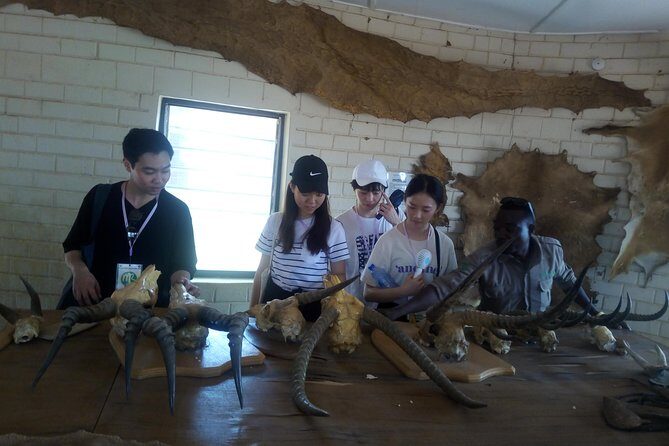 5 Days Adventurous Wildlife Safari - Entering Mole: Tamale flight, Damongo transfer, and your first wildlife window