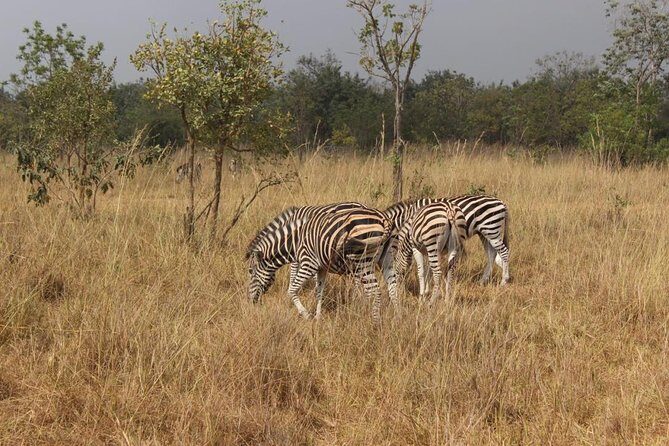 6 day Culture & History Tour in Ghana - Private tour perks: how this pacing protects your experience