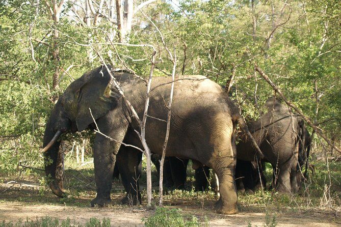 7days/6nights Eco Tourism - Entering the Route: Accra First, Then Ghana in a Straight Shot