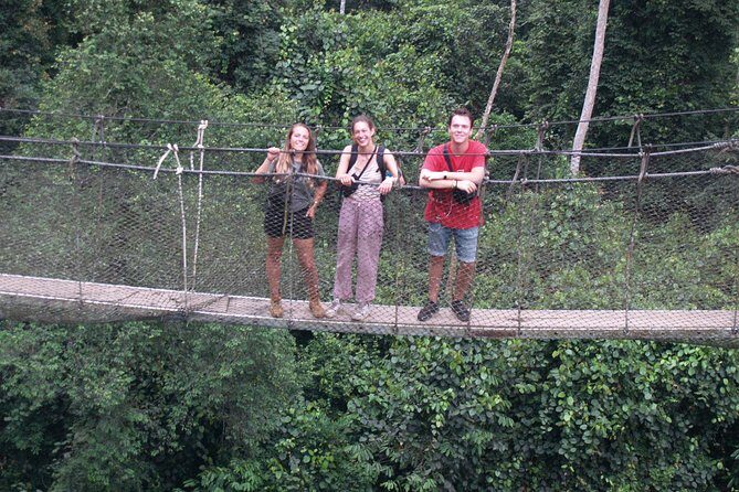 7days/6nights Eco Tourism - Day 6: Early Mole Safari, ATV Jungle Time, and Larabanga Mosque to Cape Coast