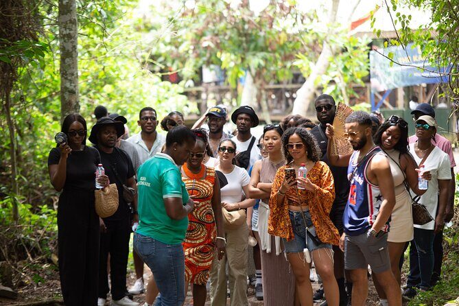 A Day Tour of Cape Coast Castle, Elmina Castle & Kakum Park - Price and logistics: is $280 per person good value?
