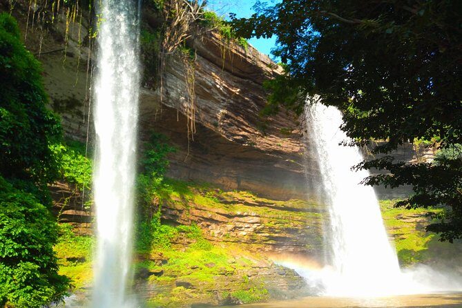 A Tour to Boti Falls - Stop 3: Three Headed Palm Tree and the fertility rock pause