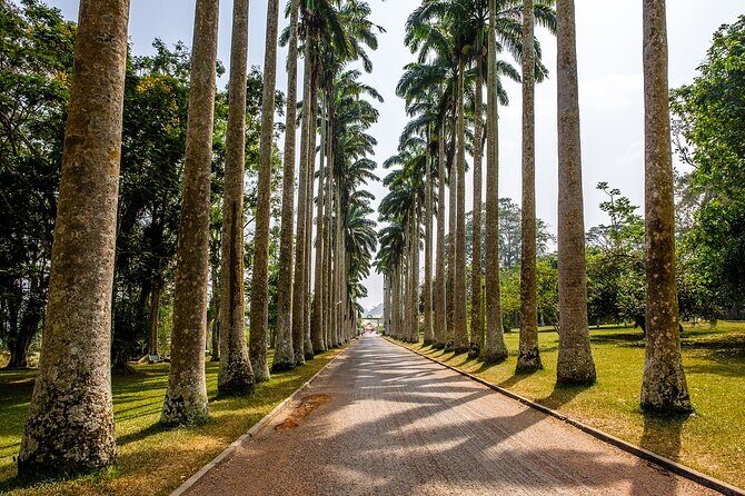 Aburi Botanic Gardens and Boti Falls Full-Day Private Tour - Entering The Day: How the 7:00 AM Start Works