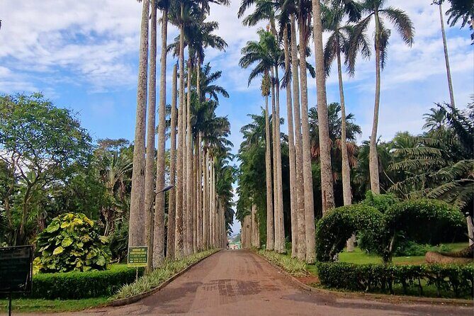 Aburi Botanic Gardens, Boti Falls,Umbrella Rock & Cocoa Farm Tour - Key highlights at a glance