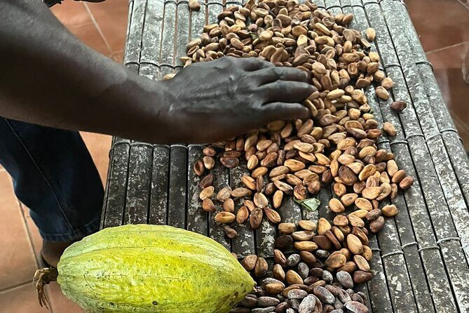 Aburi Botanic Gardens, Boti Falls,Umbrella Rock & Cocoa Farm Tour - From Accra Mall pickup to a full day of sights