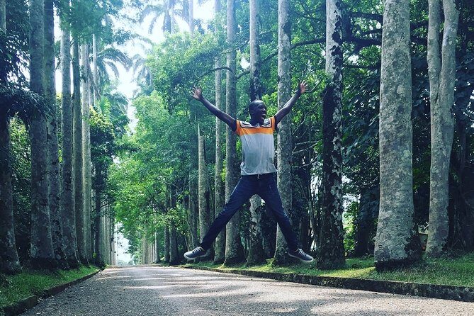 Aburi Gardens and Tetteh Quarshie Farms - Key Highlights You’ll Actually Notice