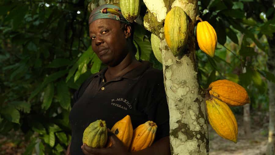 Accra Aburi Eco & Cocoa Experience: Gardens Waterfall &Lunch - Key things you’ll notice on this Aburi cocoa and gardens day