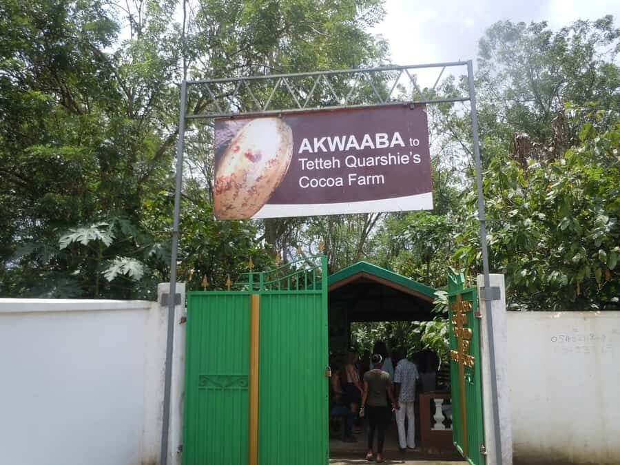 Accra Aburi Eco & Cocoa Experience: Gardens Waterfall &Lunch - Aburi Botanical Gardens walk: the part where you slow down