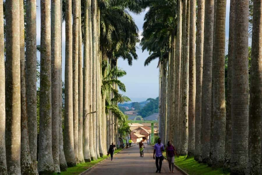 Accra Aburi Eco & Cocoa Experience: Gardens Waterfall &Lunch - Tetteh Quarshie Cocoa Farm: why this stop matters for your Ghana understanding
