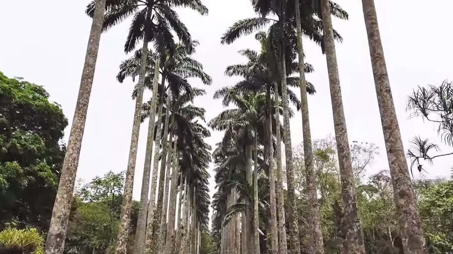 Accra: Eastern Region Waterfalls Tour - How the Accra pickup and early start set the tone