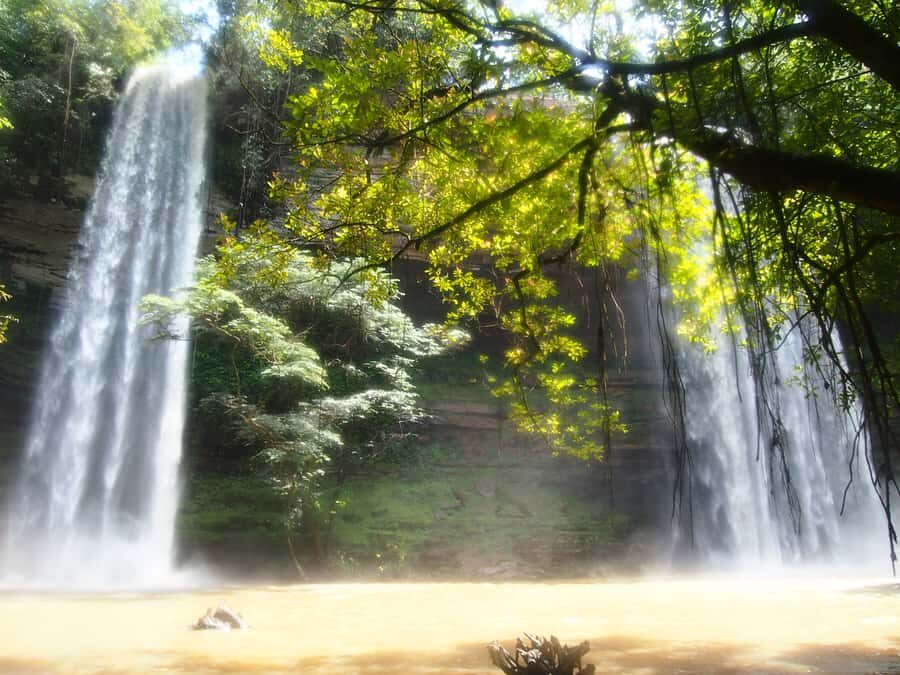 Accra: Eastern Region Waterfalls Tour - Umbrella Rock and the Three-Headed Palm Tree: quick stops with big character