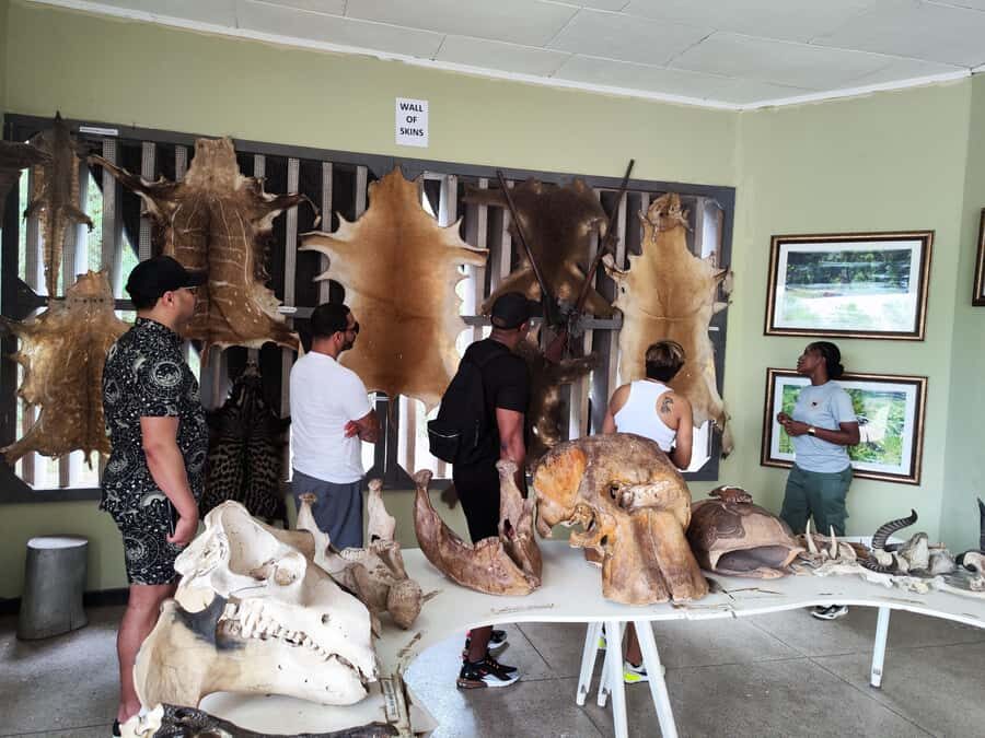 Accra: Half day private safari with pick up - Animal farm, museum, and the rock-climbing option
