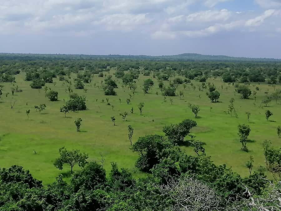Accra: Half day private safari with pick up - Price and value: is $245 per person worth it?