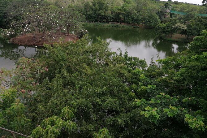 Accra Zoo, Canopy Walk and Botanical Gardens Private Tour - A Half-Day Plan: Accra Zoo, Legon Canopy Walk, and Canoe Bird Watching
