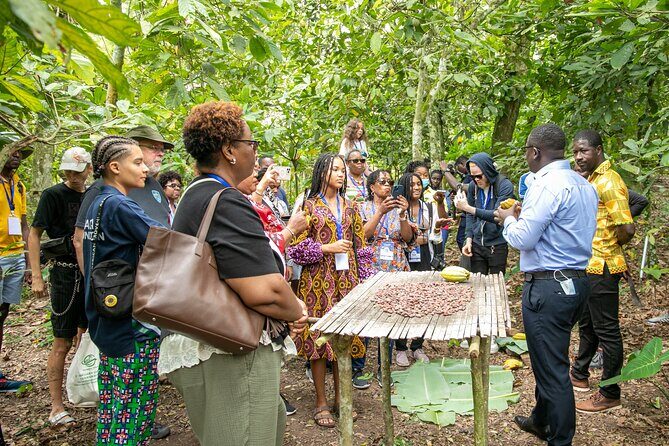 Boti Falls, Botanic Gardens, Cocoa Fam, Umbrella Rock Experience - A One-Day Mix of Waterfalls, Birds, and Chocolate