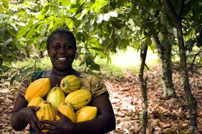 Boti Falls, Umbrella Rock, Aburi Gardens & Cocoa Farm Day Tour - Umbrella Rock hike: what climbable really means and how to pace it