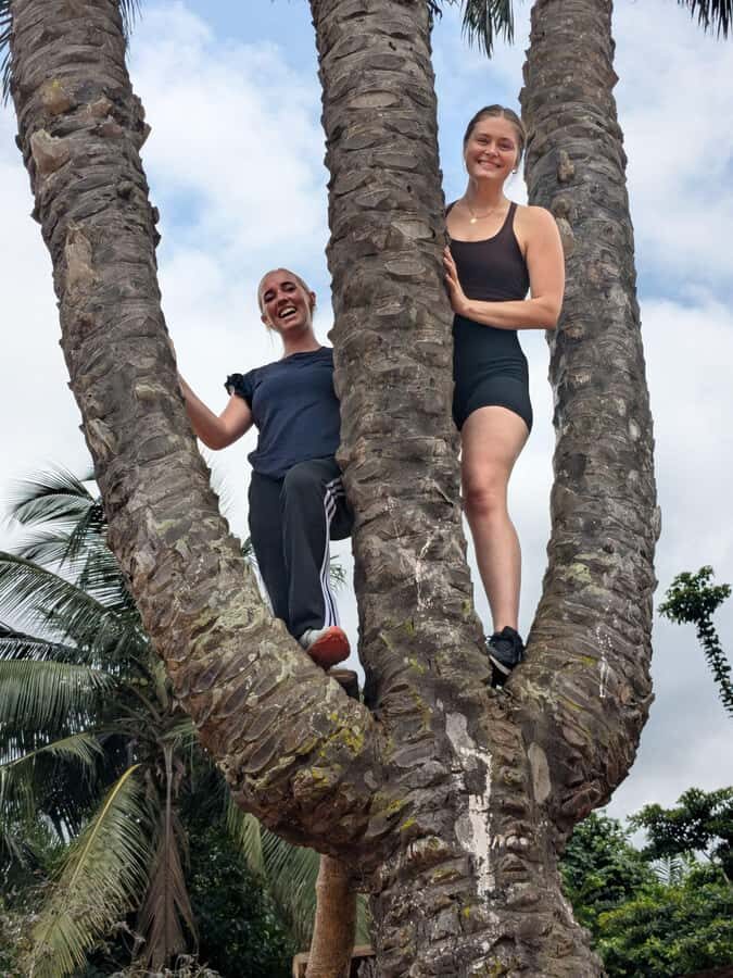 Boti Falls, Umbrella Rock, Aburi Gardens & Cocoa Farm Tour - Aburi’s Cool Hills: Start With 64 Acres of Plant Life