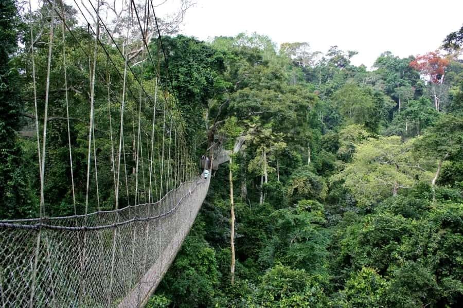 Cape Coast: Kakum National Park, Castles, & Hans Cottage - Getting Moving From Accra: The Air-Conditioned Shuttle Pace
