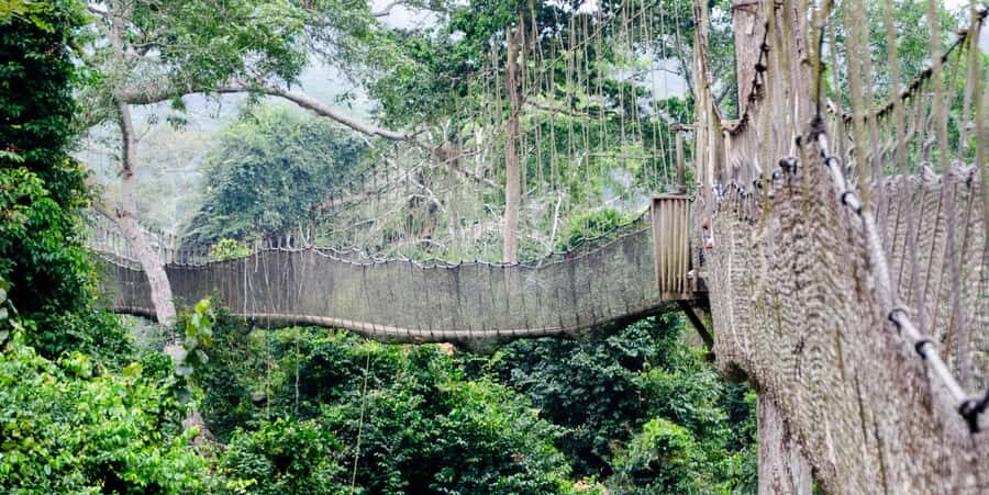 Cape Coast: Kakum National Park, Castles, & Hans Cottage - Cape Coast Castle and the Slave Trade Dungeons: How the Story Hits