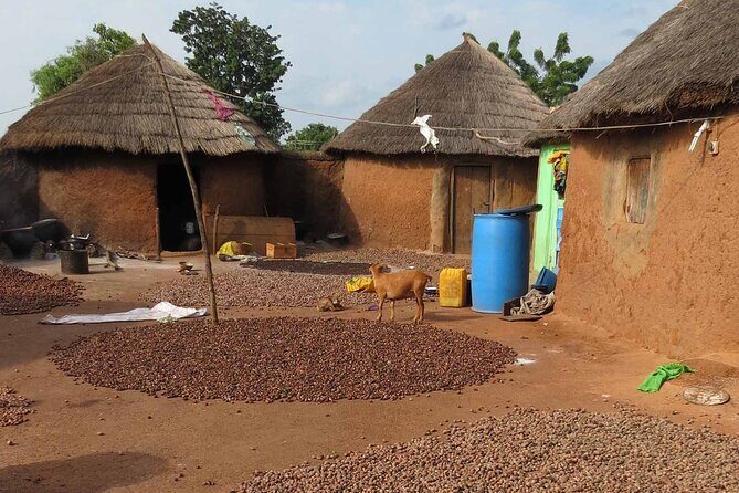Cultural Village Tour: Traditional Naming Ceremony - Quick Highlights