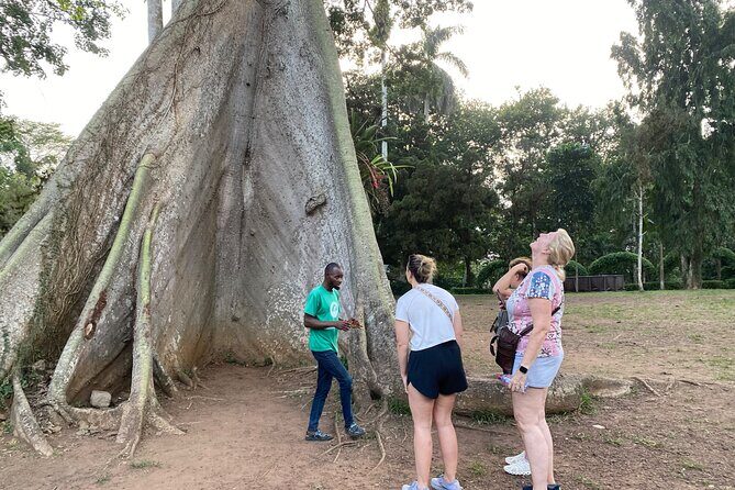 Day Trip Near Accra - Visit Aburi Gardens, Waterfall & Cocoa Farm - Key Highlights You’ll Notice Fast
