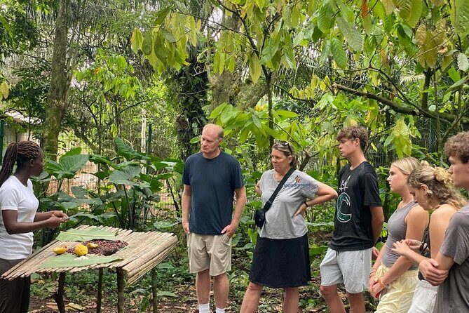 Day Trip Near Accra - Visit Aburi Gardens, Waterfall & Cocoa Farm - Why This Aburi Day Trip Works So Well (Even If You’re Short on Time)