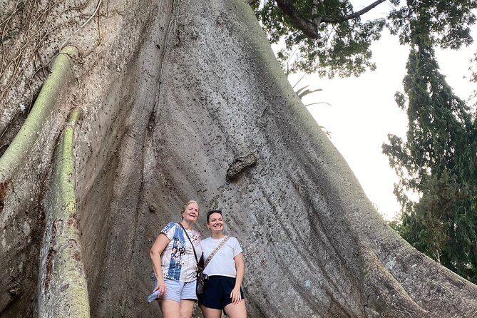 Day Trip Near Accra - Visit Aburi Gardens, Waterfall & Cocoa Farm - Oboadaka Falls: The Stairs, the Sound, and the Plunge Pool