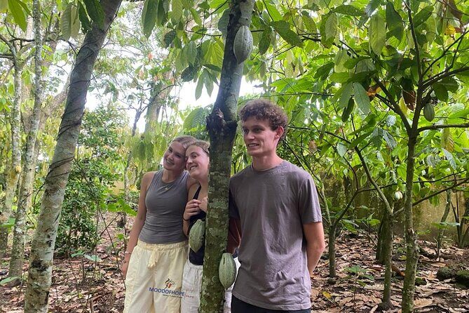 Day Trip Near Accra - Visit Aburi Gardens, Waterfall & Cocoa Farm - Price and Logistics: Is $179 Good Value?