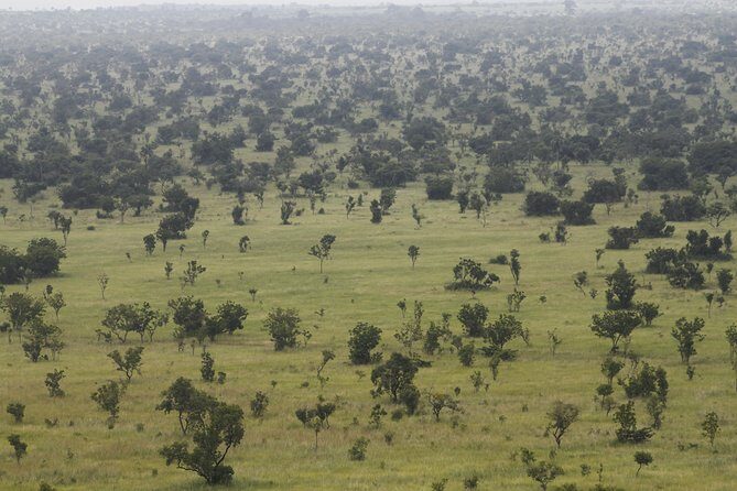 Discover Nature at Shai Hills - Mogo Cultural site: Coastal Savannah views with Shai context
