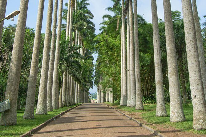 Escape Accra City to Aburi Gardens and Tetteh Quarshie Cocoa Farms - Stop 1: Aburi Botanical Gardens and Its 10 Manicured Lawns