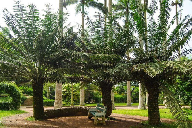 Escape Accra City to Aburi Gardens and Tetteh Quarshie Cocoa Farms - Transport, Timing, and What the Day Feels Like in Real Life