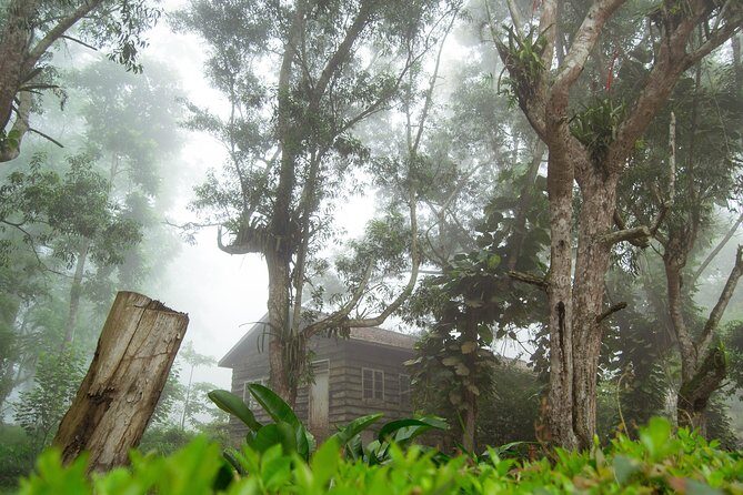 Escape Accra City to Aburi Gardens and Tetteh Quarshie Cocoa Farms - Price and Value: Is $170 Worth It?