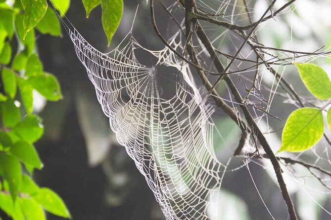 Escape Accra City to Aburi Gardens and Tetteh Quarshie Cocoa Farms - Should You Book This Cocoa and Gardens Tour?