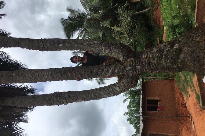 Experience Boti Waterfalls, Aburi Botanical Gardens & Tetteh Quarshie Cocoa Farm - Boti Waterfalls and the Umbrella Rock Hike: Where the Climb Makes the Payoff