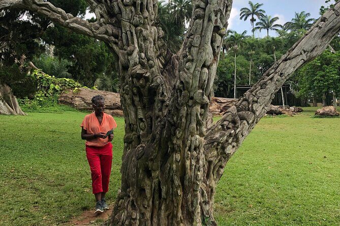 Experience Boti Waterfalls, Aburi Botanical Gardens & Tetteh Quarshie Cocoa Farm - Asenema Waterfalls on the Akuapem Ridge: A Second Waterfall Mood