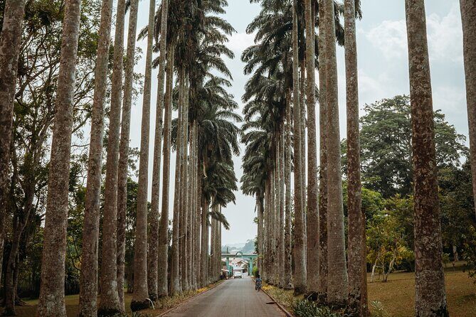Explore Aburi Botanical Gardens And Boti Falls - Boti Falls Twin Waterfalls: What You Get and How to Enjoy It