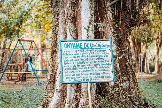 Explore Aburi Botanical Gardens And Boti Falls - Aburi Botanical Gardens: Plant Learning Without the Classroom Feel