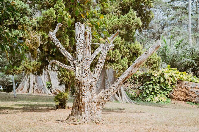Explore Aburi Botanical Gardens And Boti Falls - Price and Value: Is $250 per Person Worth It?
