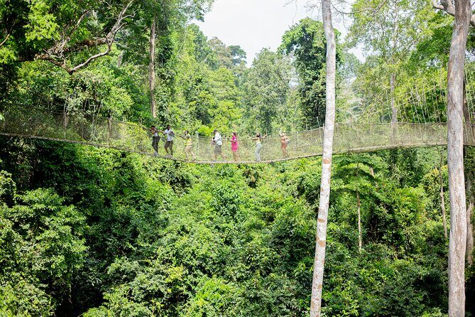 Explore Ghana Multi Day Tour - Kakum National Park’s Kuntan Trail and Canopy Walkway, then the Louis Armstrong connection