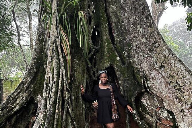 Full Day Tour Waterfalls Quad biking and Aburi Botanical Gardens - Logistics that matter (and what you should prepare)