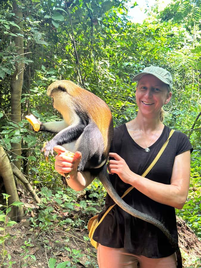 Ghana: 2-Day Monkey Sanctuary, Waterfall and Hiking Tour - Day 2 Morning in Amedzofe: Hiking Mt Gemi and Ote Falls Canopy Walk