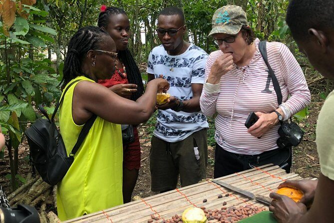 Ghana Eastern Explorer - Boti Falls, Aburi Gardens & Tetther Quarshie Cocoa Farm - Key things I’d watch for